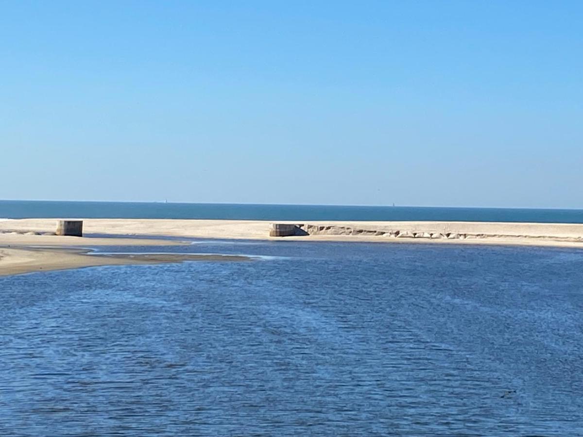Espaco Alvim Esmoriz Bagian luar foto